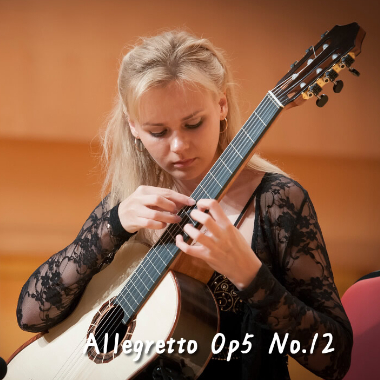 Allegretto Op5 No.12吉他谱GTP格式