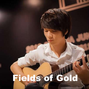 Fields of Gold吉他谱GTP格式