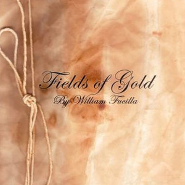 Fields of Gold吉他谱GTP格式