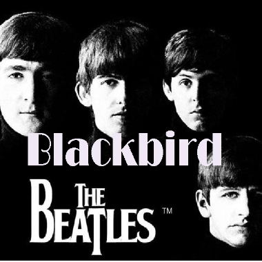 Blackbird吉他谱GTP格式