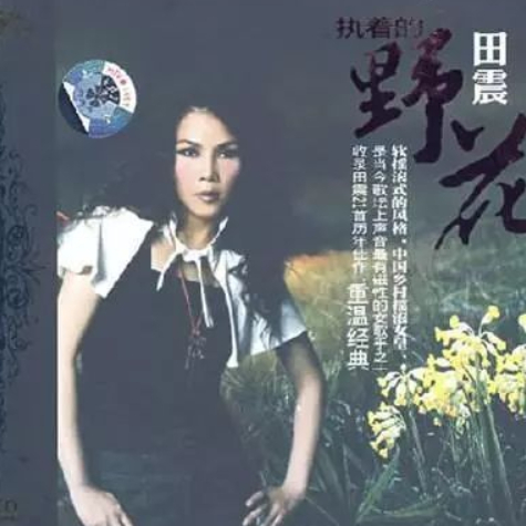 野花吉他谱GTP格式
