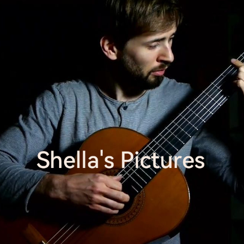 Shella's Pictures吉他谱GTP格式