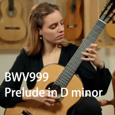 BWV999 Prelude in D minor吉他谱GTP格式