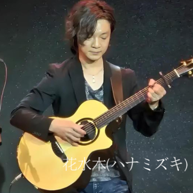 花水木吉他谱GTP格式