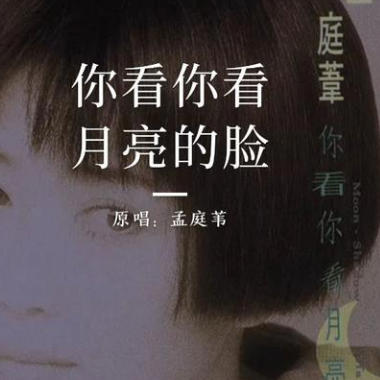 你看你看月亮的脸吉他谱GTP格式