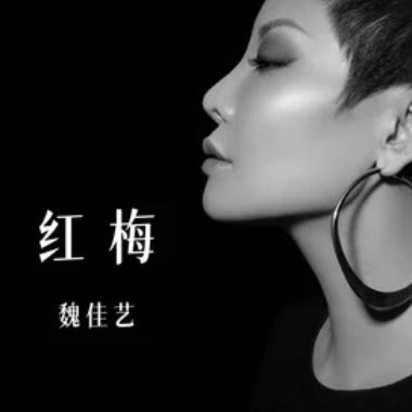 红梅吉他谱GTP格式